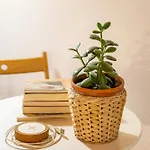Apartament Alfama Pateo
