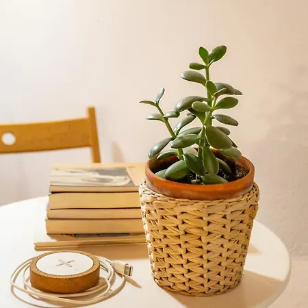 Appartement Alfama Pateo