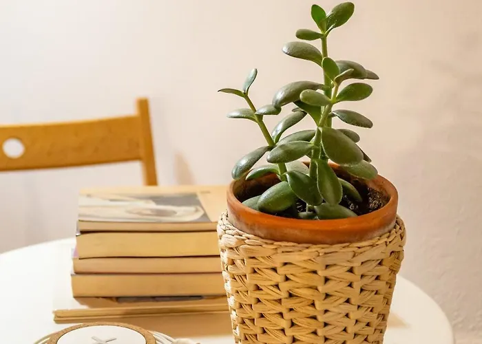 아파트 Alfama Pateo